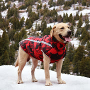 Waterproof Windproof Dog Jacket with Reflective Strips for All Breed Sizes
