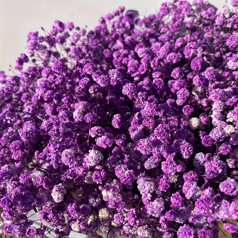 Коробка из 30 сохранившихся цветов для DIY-проектов, включая рамку для фотографий, плавающие цветочные материалы, свечи и тисненые цветы.