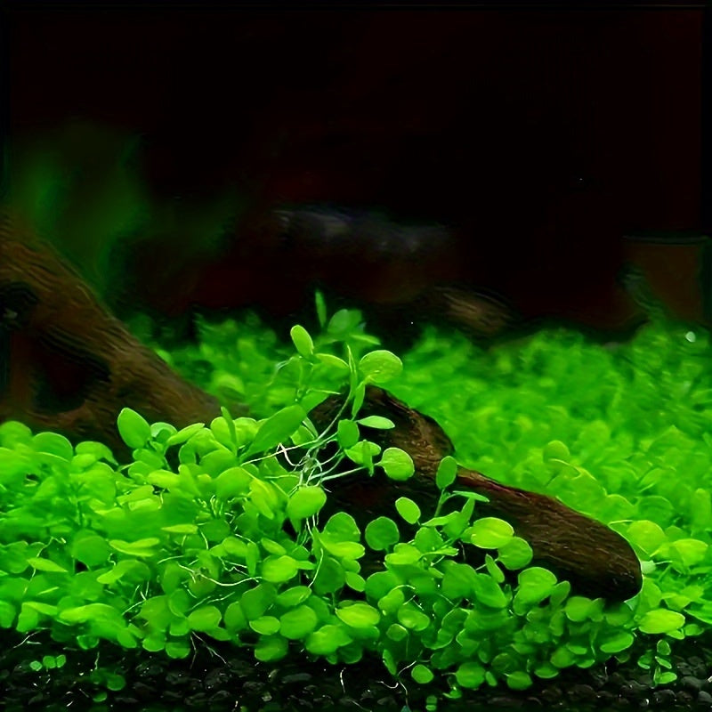 Freshwater Aquarium Substrate 100g Black Water Grass Sand for Plant Growth and Tank Decoration