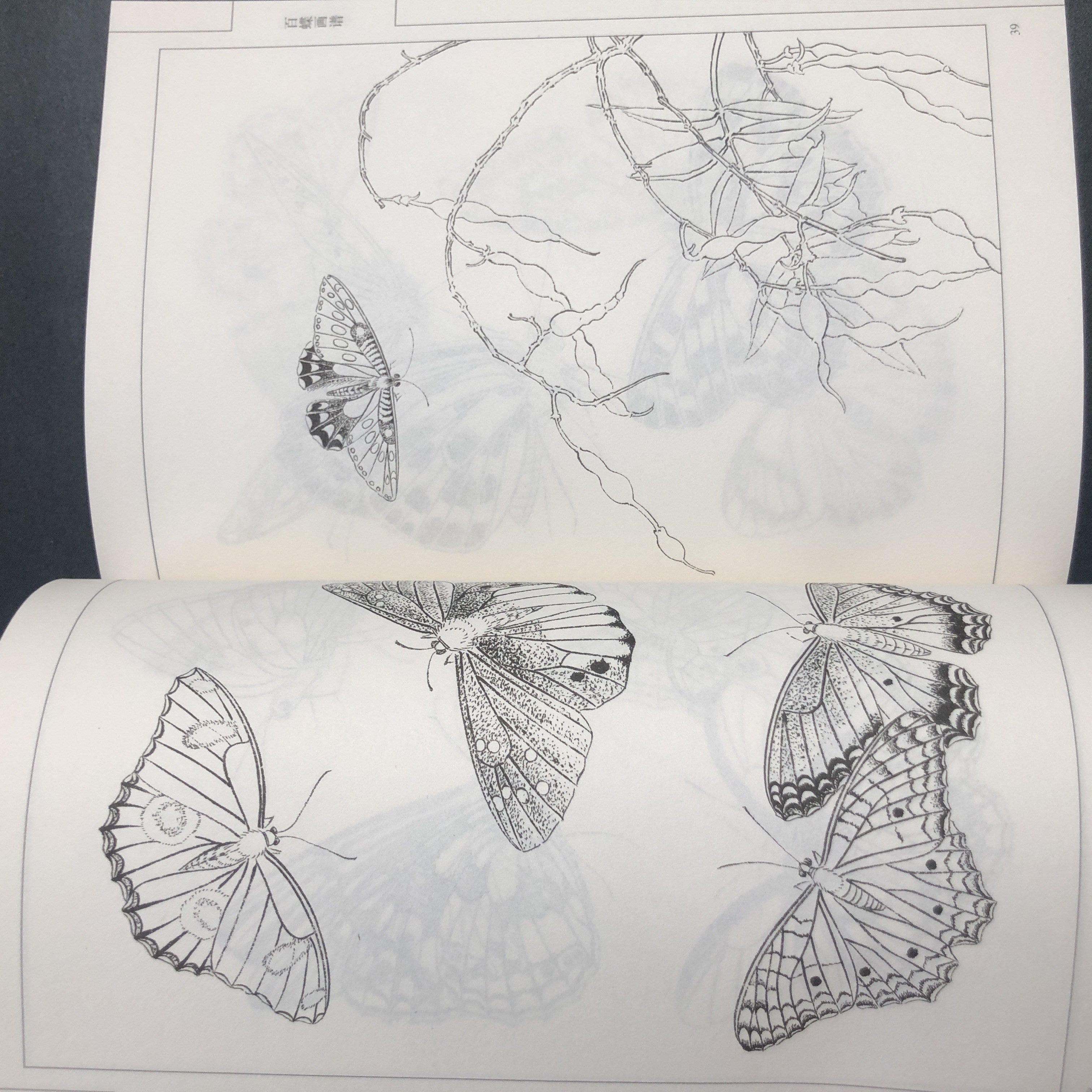 Chinese Painting Style Line Drawing Art Book of Hundred Butterflies