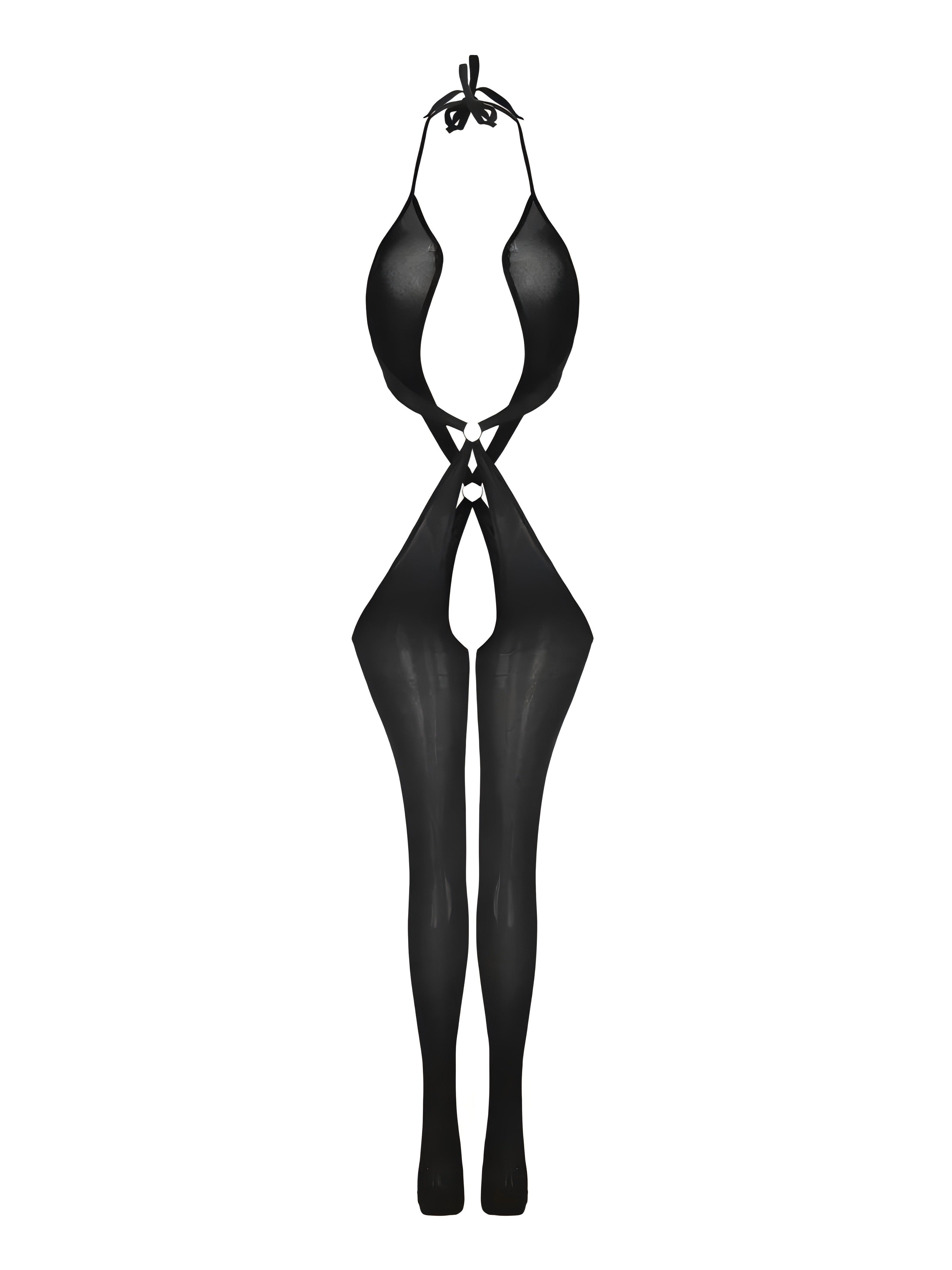 Women's Crotchless Bodysuit and Bodystocking Set Open Crotch Garter Lingerie