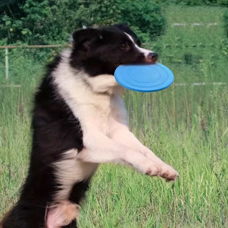 Durable Plastic Dog Toy 15.98cm for Pool Beach Medium Breed Multi-Color