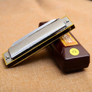 Kattalar uchun boshlang'ich 10 teshikli Blues Harmonica Metal Polished bilan qadoqlangan, kulrang