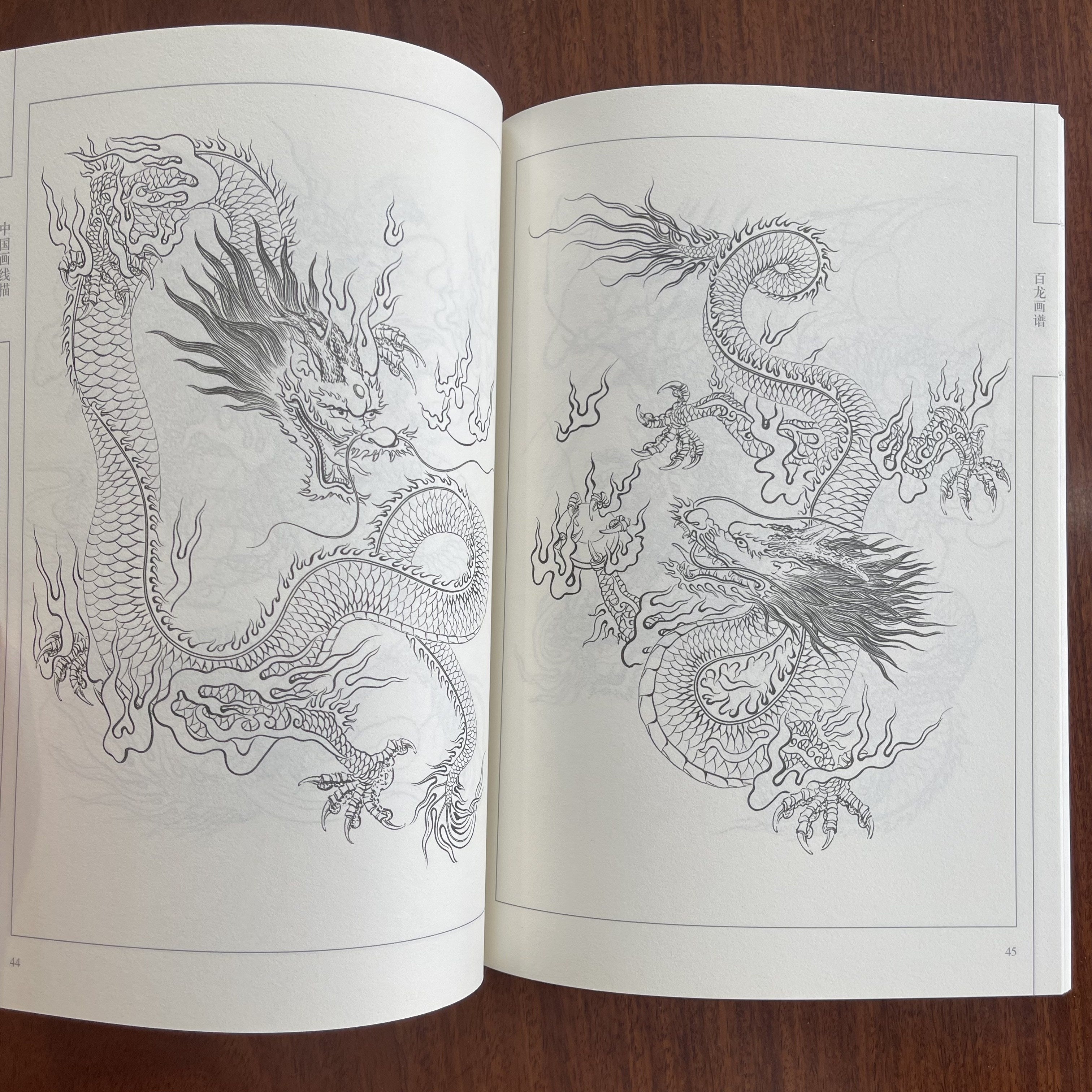 Traditional Chinese Ink Line Drawing Manual for Beginners with 100 Dragons Art Instruction Book