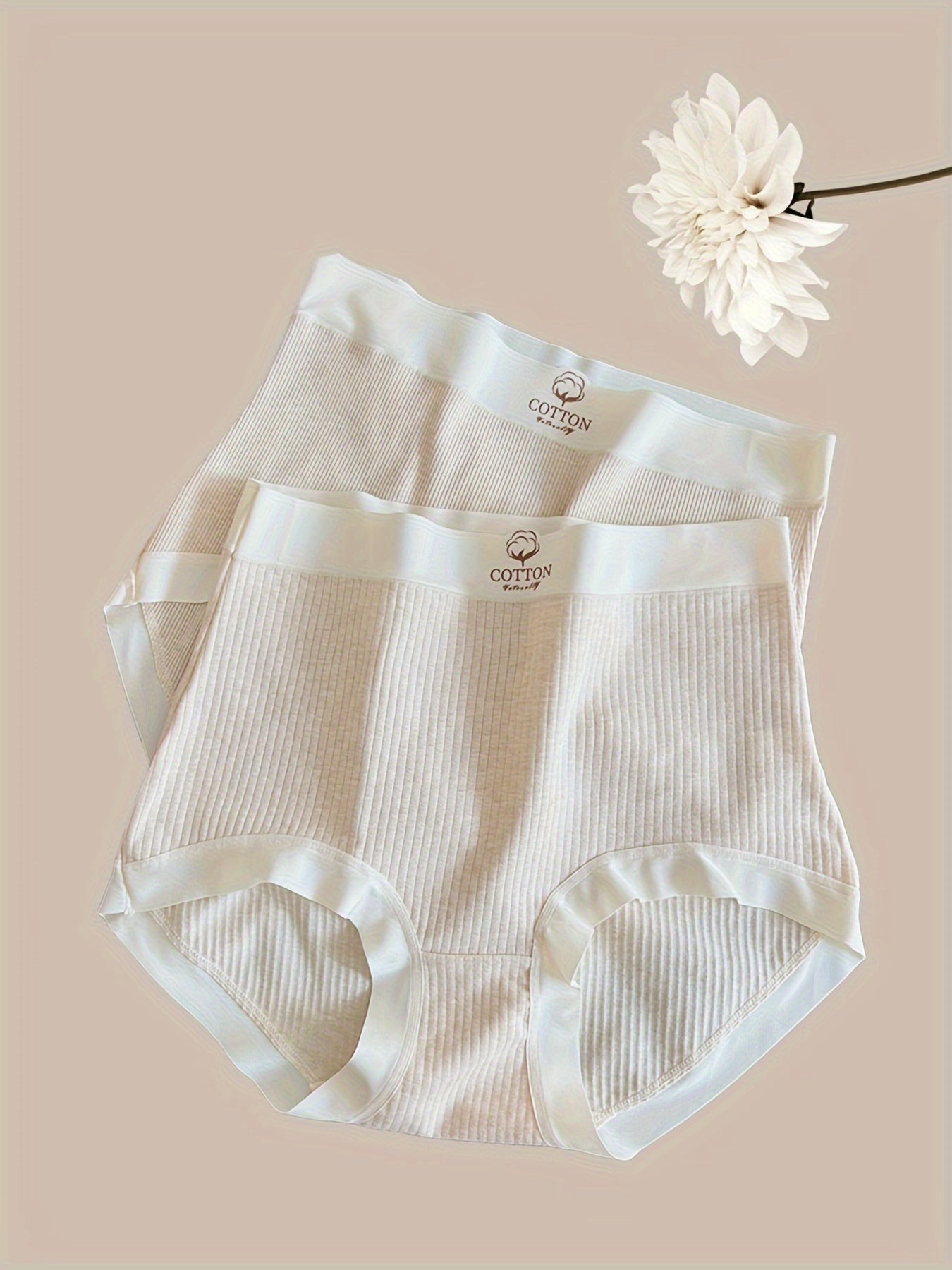 Women's Plus Size High Waist Cotton Briefs with Letter Print Ribbed Stretchy Fabric 2 Pack