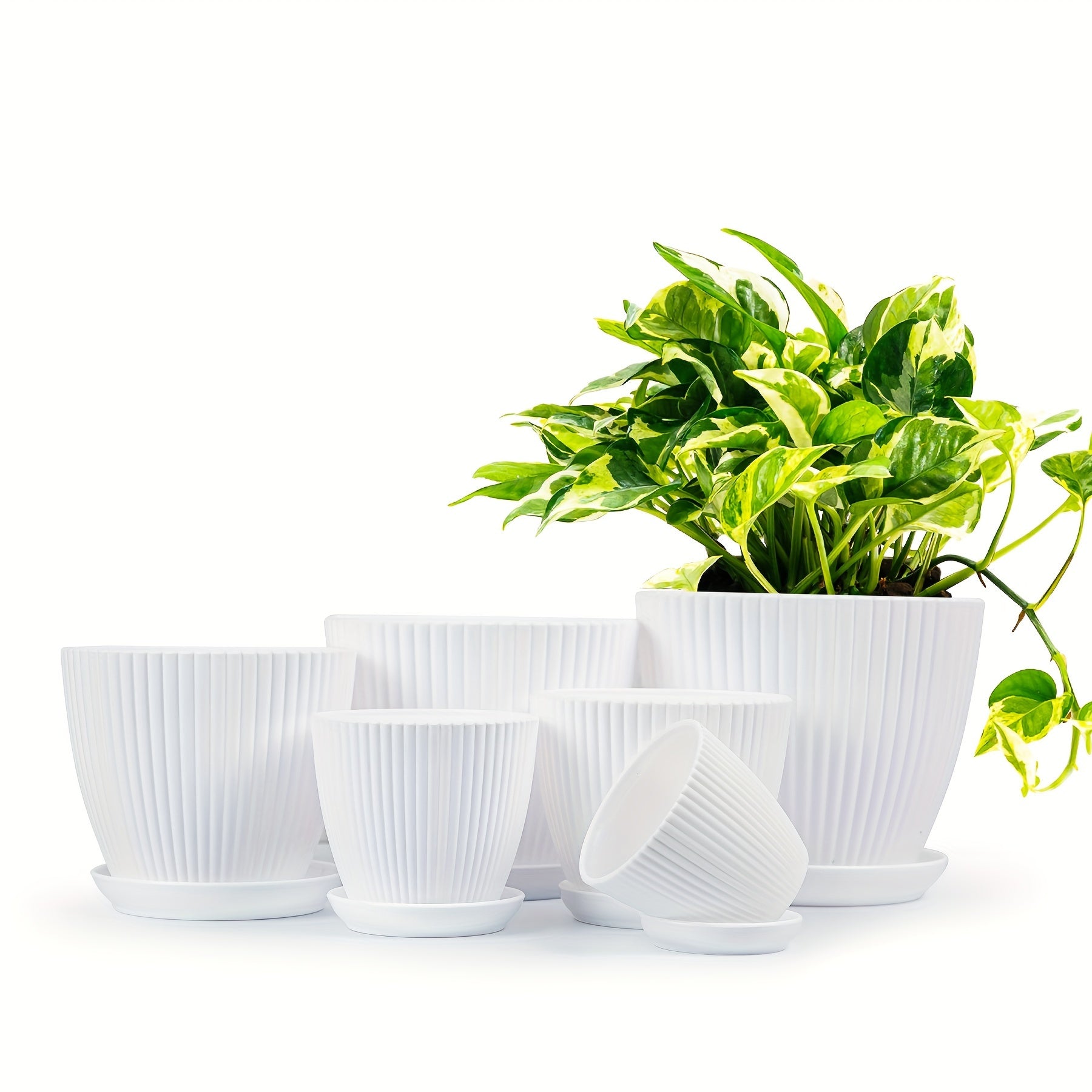 6 Pack Plastic Flower Pots with Saucers, 6 Sizes Indoor Outdoor Planters