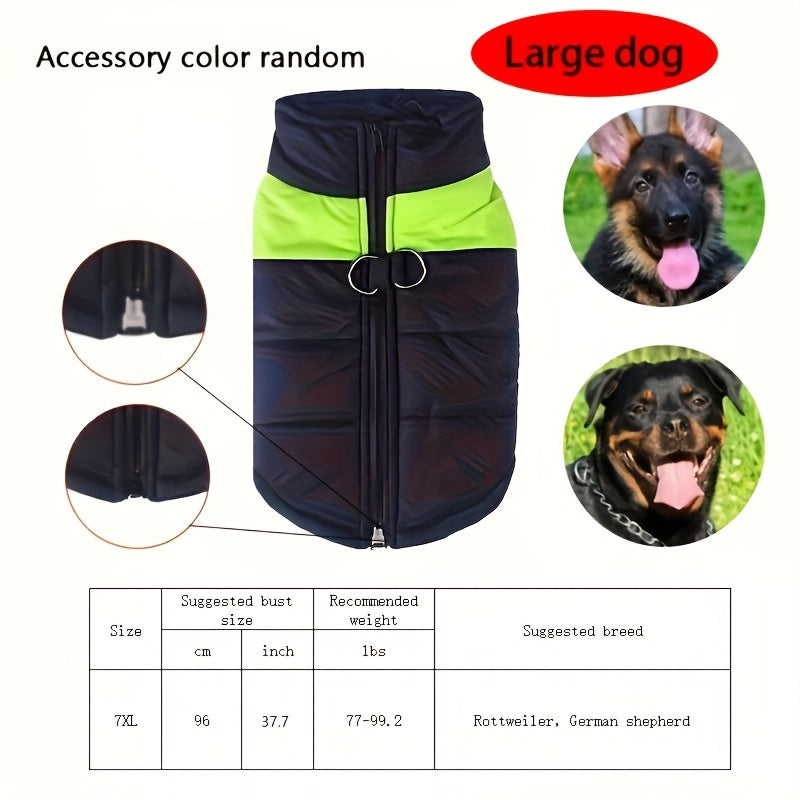 Windproof Winter Dog Jacket for Medium Breeds Polyester Zippered Warm Outdoor Apparel