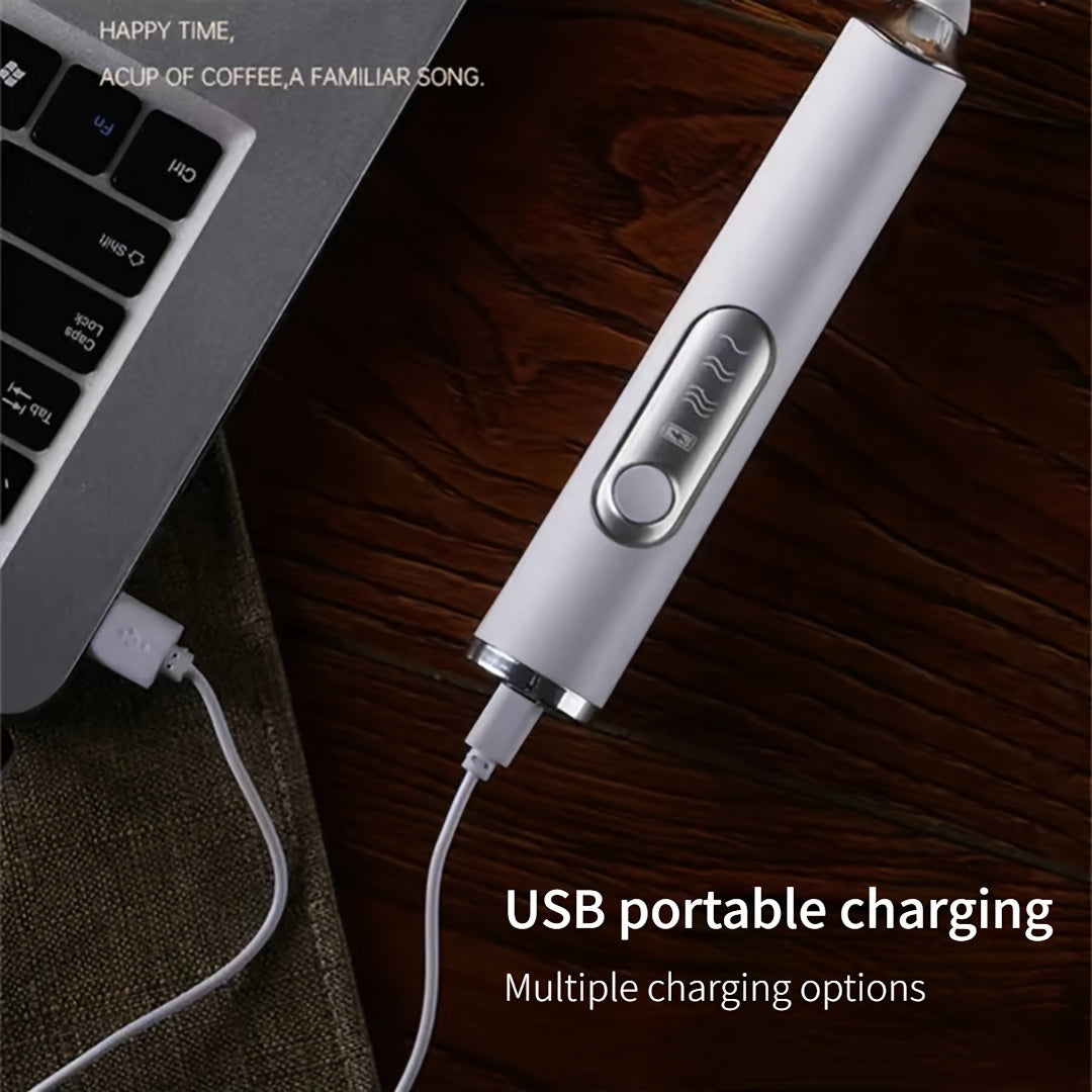 Electric Handheld Frother with USB Charging, 3 Speeds, Stainless Steel Rods