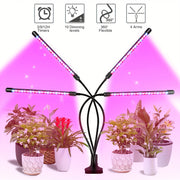High-Intensity Full Spectrum LED Grow Light for Indoor Plants with Automatic Timer