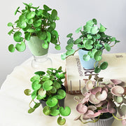 Artificial Green Plant with Copper Coin Grass and Ivy for Home or Shop Decor