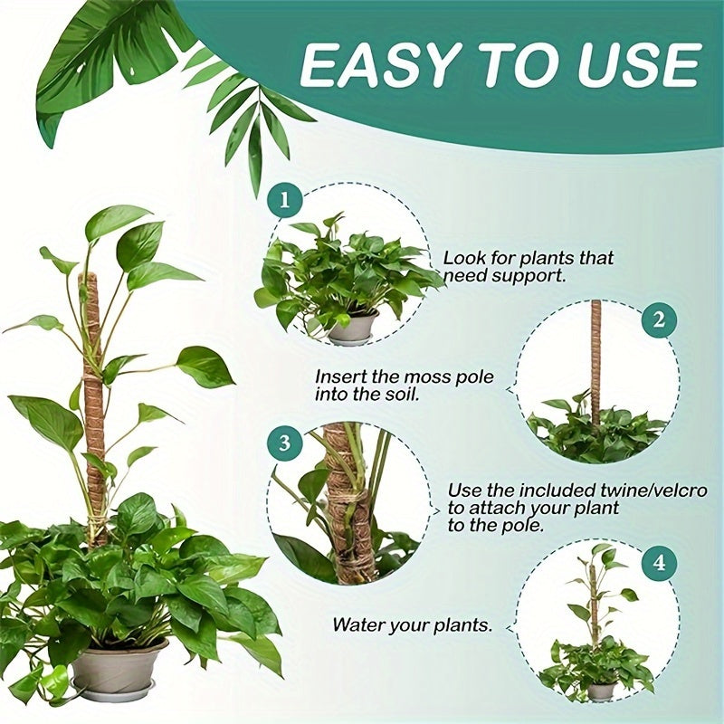 Set of Two Flexible Indoor Plant Support Poles for Climbing Plants