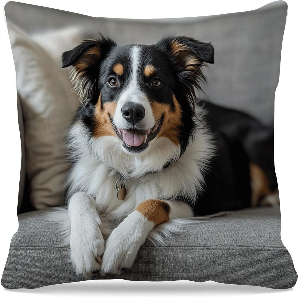 Australian Shepherd Throw Pillow Cover Square Cushion Case Removable Washable 45cm