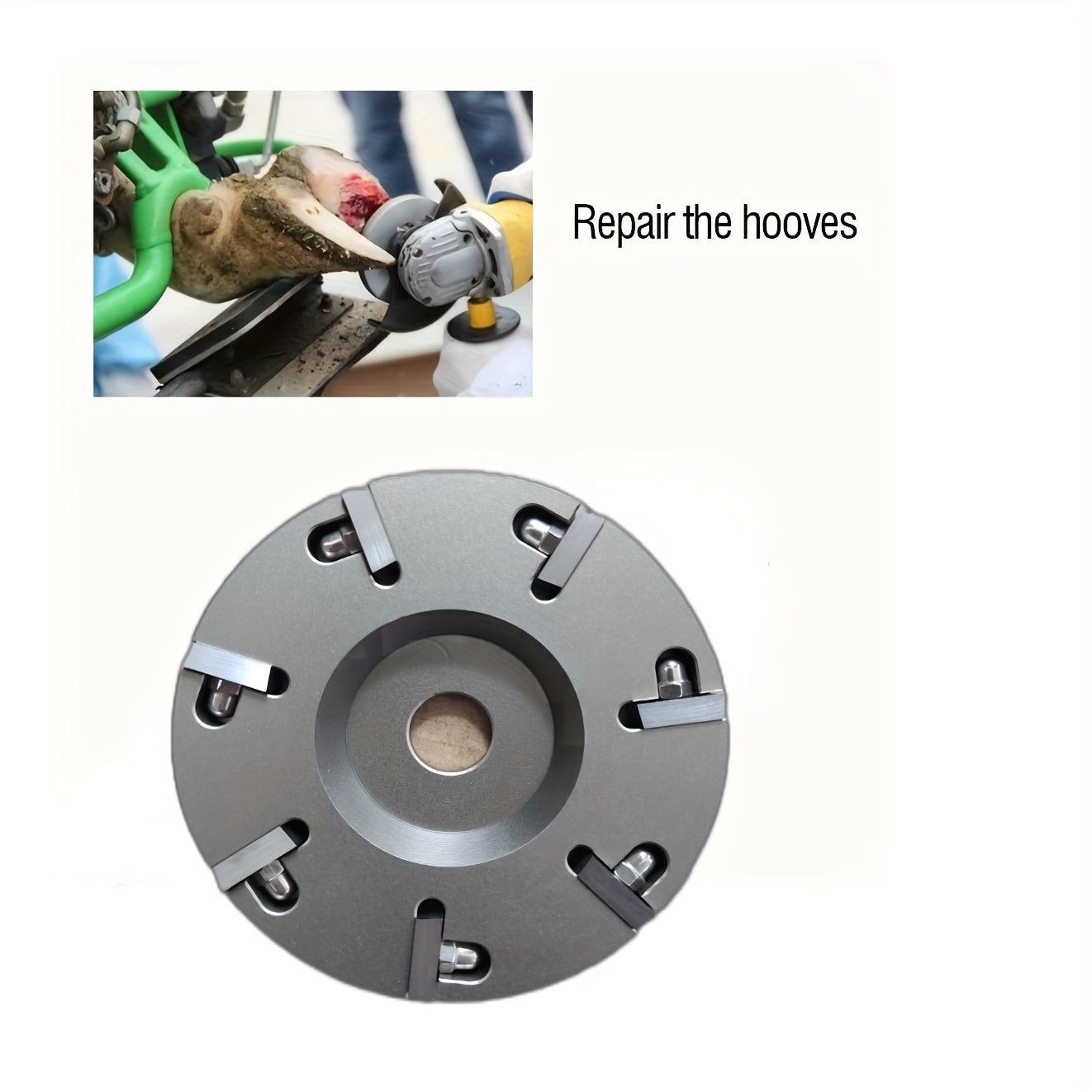 Horseshoe Knife Hoof Trimming Tool Steel Hoof Care Disc Plate