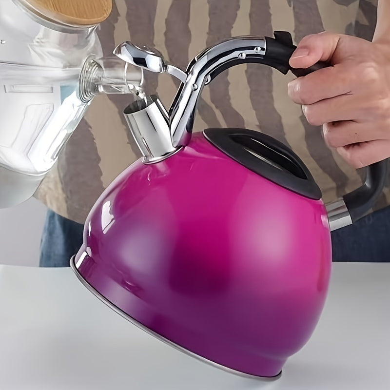 Stainless Steel Whistling Tea Kettle Gradient Design for Gas and Induction Stoves