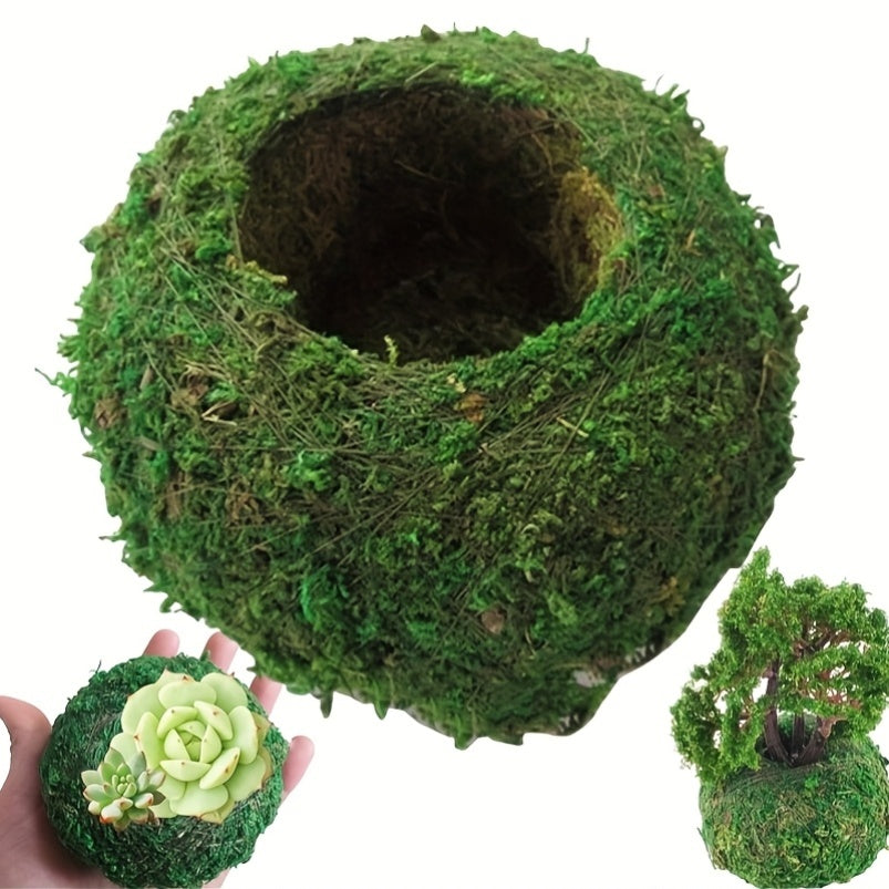 Round Clay Moss Plant Container for Air Plants Succulents Indoor Outdoor