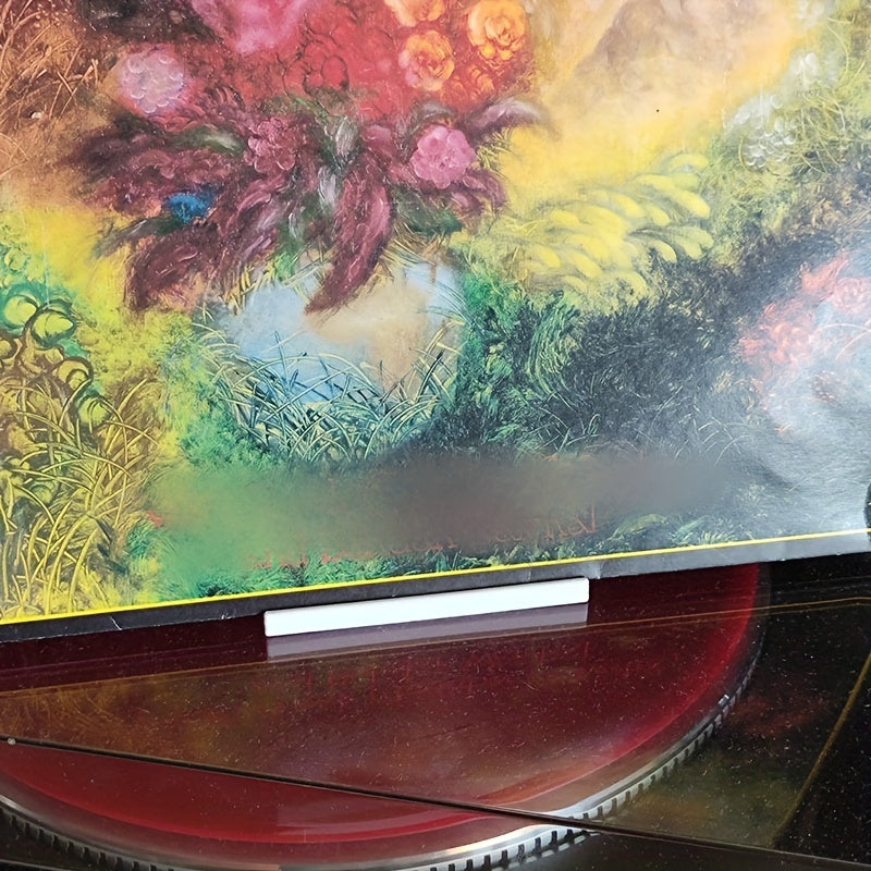 Contemporary Plastic Vinyl Record Holder Tabletop Display Stand for Home Audio