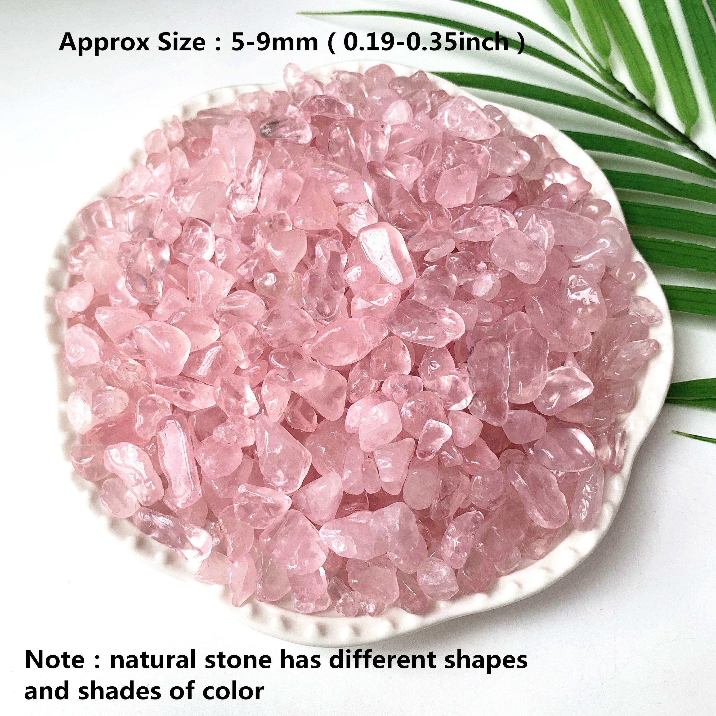 Natural Rose Quartz Chips 50g 100g for Healing and Decoration in Plants and Terrariums
