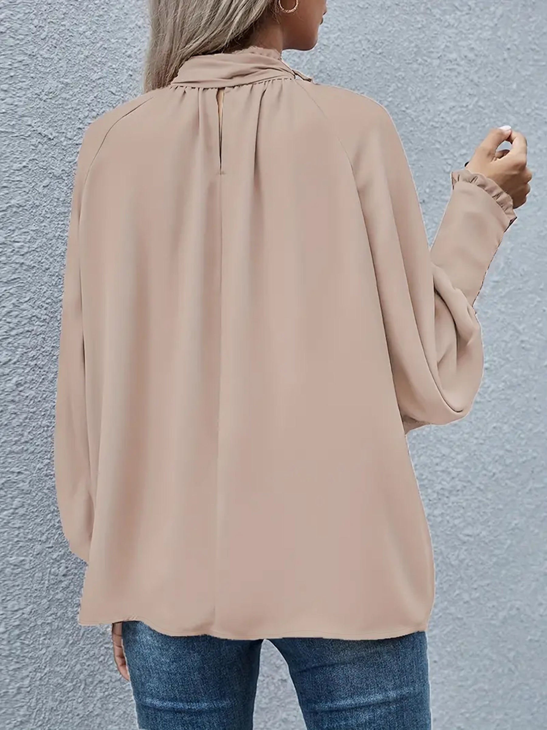 Women's Plus Size Tie Neck Blouse Long Sleeve Spring Fall Solid Color