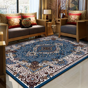 Retro Persian Carpet Bohemian Area Rug Ethnic Style Water Absorbent Non-Shedding Living Room Decor