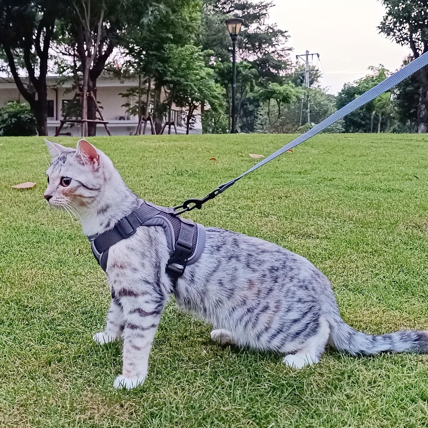 Extra Large Striped Tactical Cat Harness with Quick-Release Buckles and Polyester Material