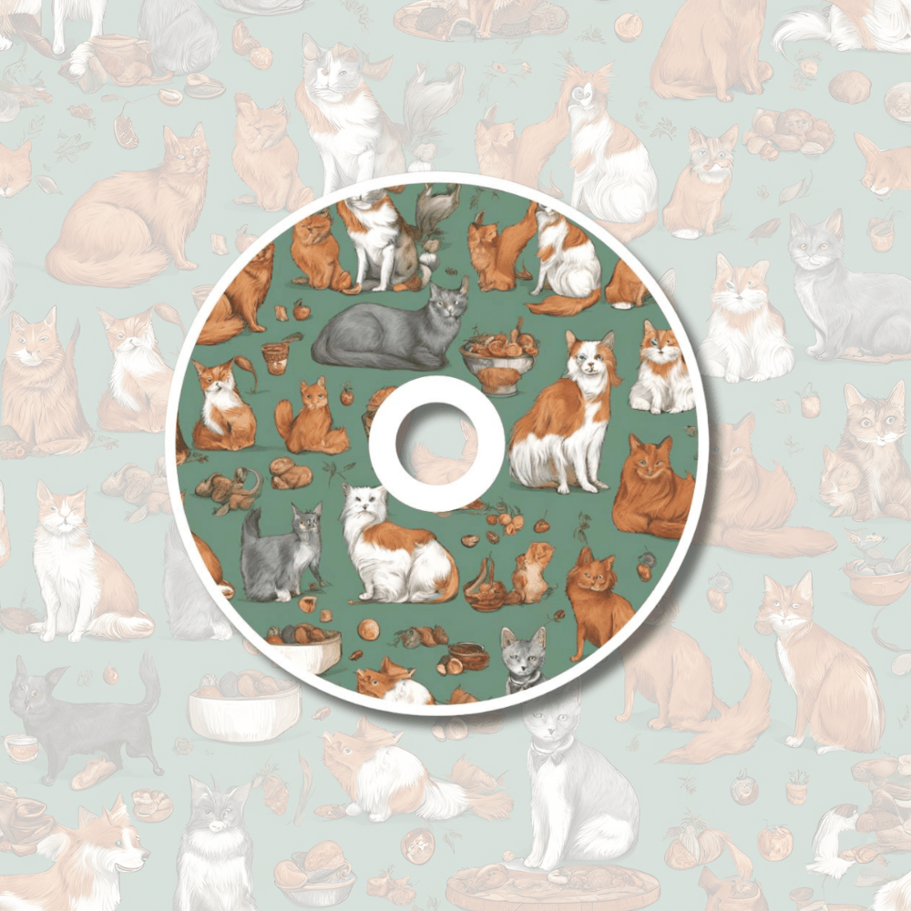 Cubierta personalizada de policarbonato para DVD/CD con personalización de fotos para bodas y celebraciones