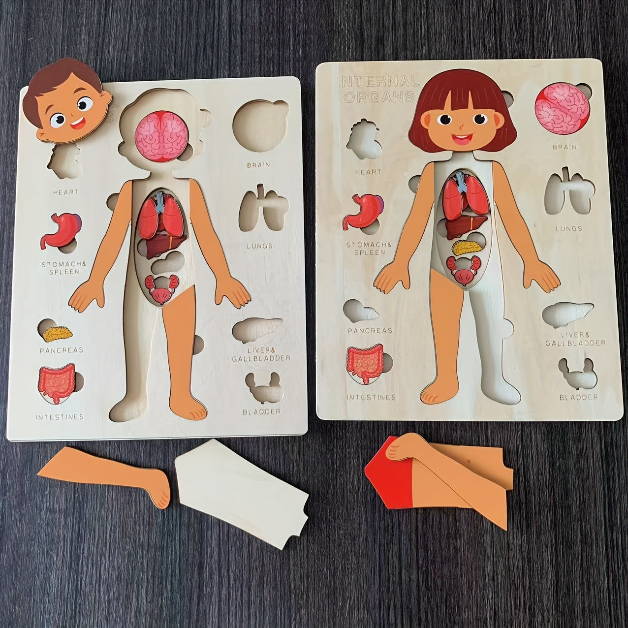 Children's Wooden Human Body Puzzle Educational Toy for Early Childhood Development