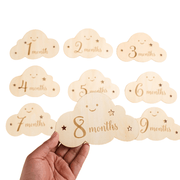 Set of 8 Milestone Cards for Baby Growth and Pregnancy Journey with Wooden Birth Sign and Photo Props