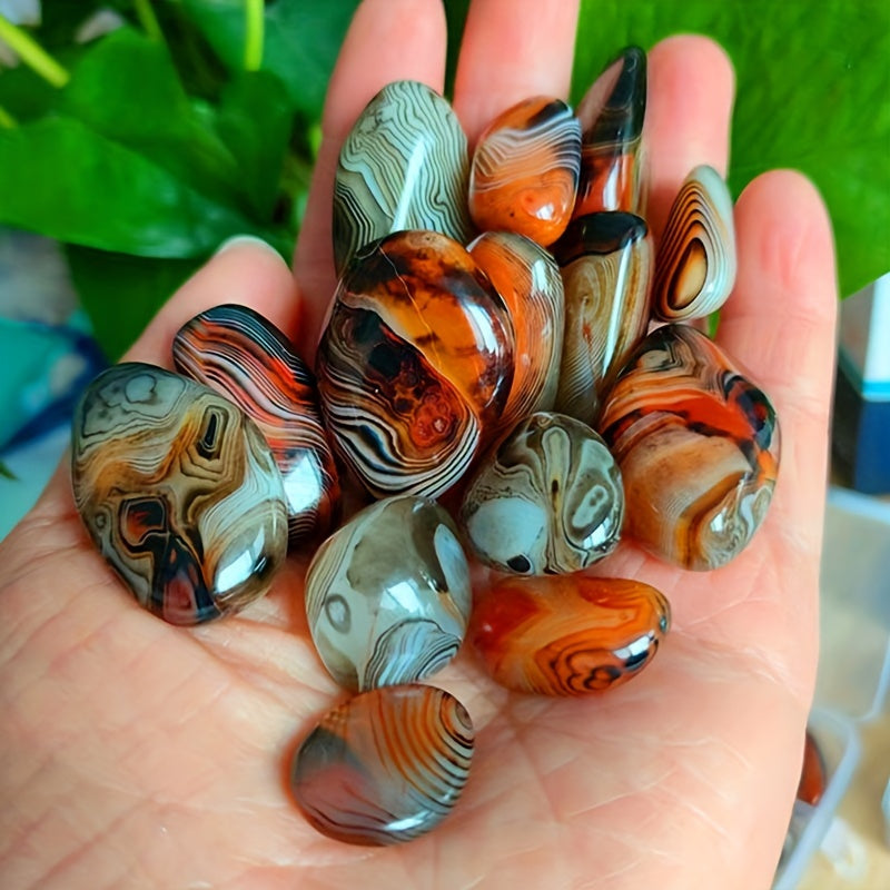5-Piece Natural Agate Stone Set for Flower Pots Aquariums and Decorations