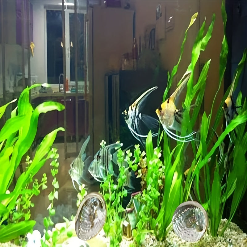 Large Abalone Seashells for Smudging Incense Burning Home Decor Pack of 1 or 2 10.16-12.7cm