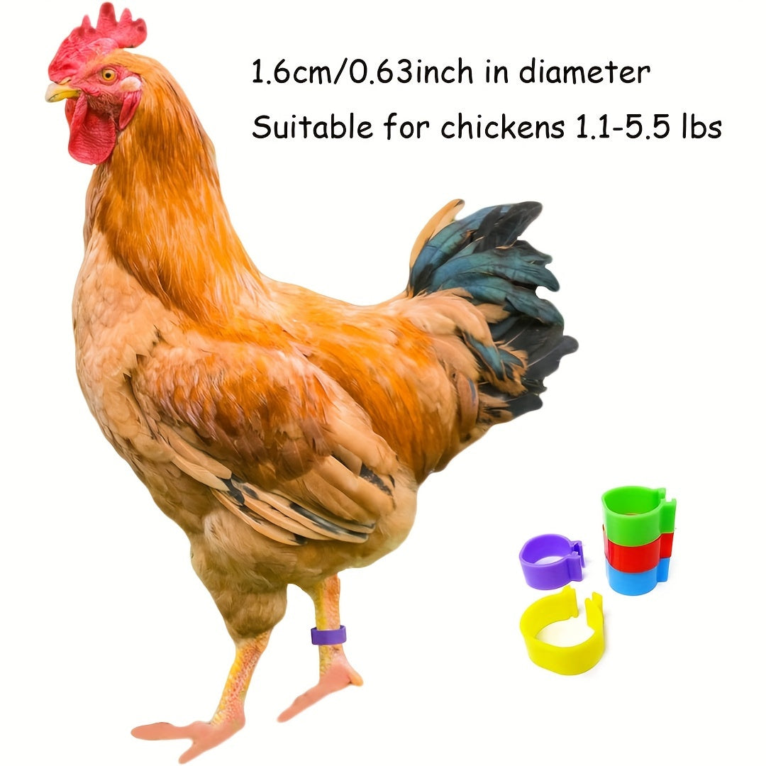 100 Pack Poultry Leg Bands in 5 Colors for Chickens Ducks and Geese