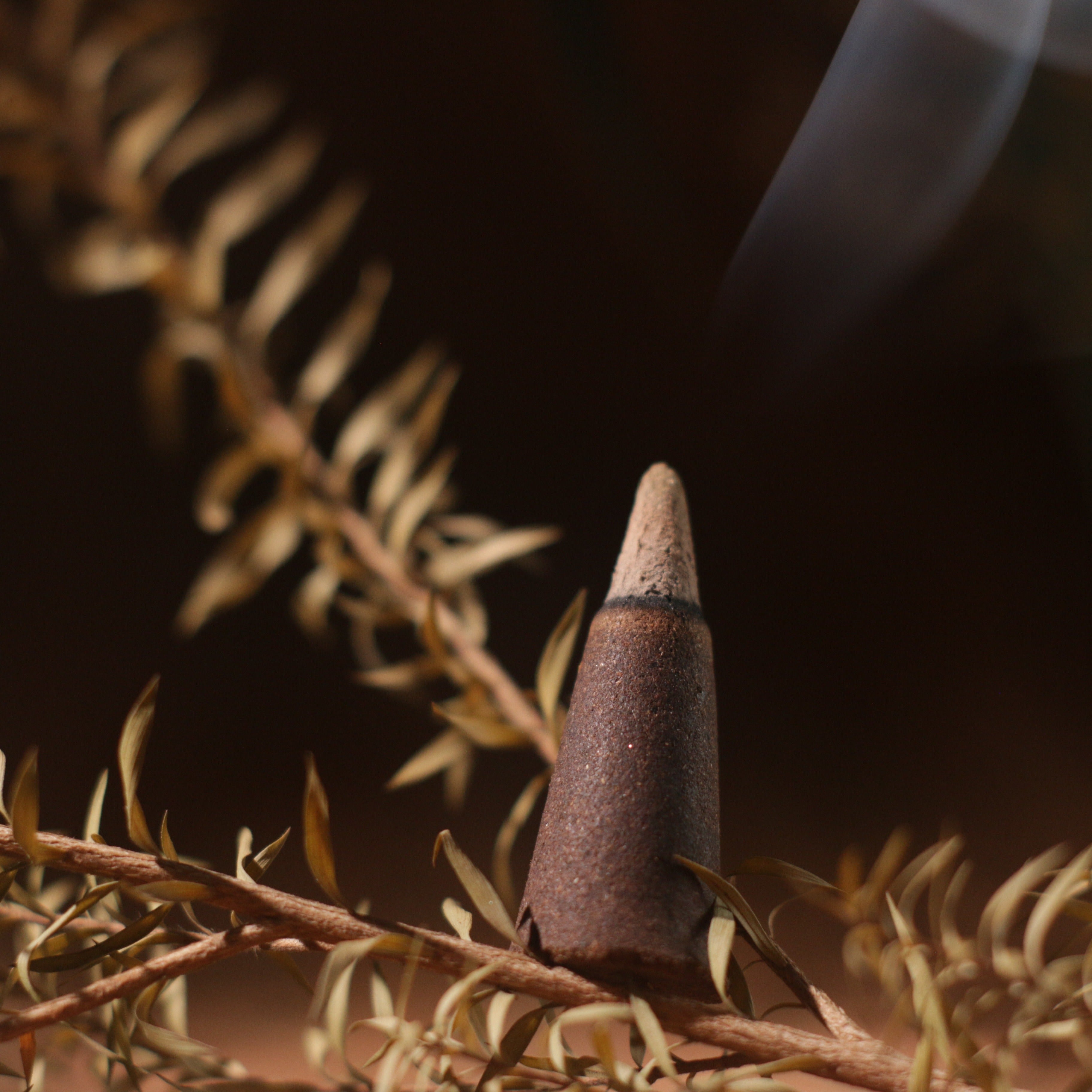 5/10 piezas de conos de incienso de madera con canela de manzana para aromaterapia, meditación, yoga y hogar