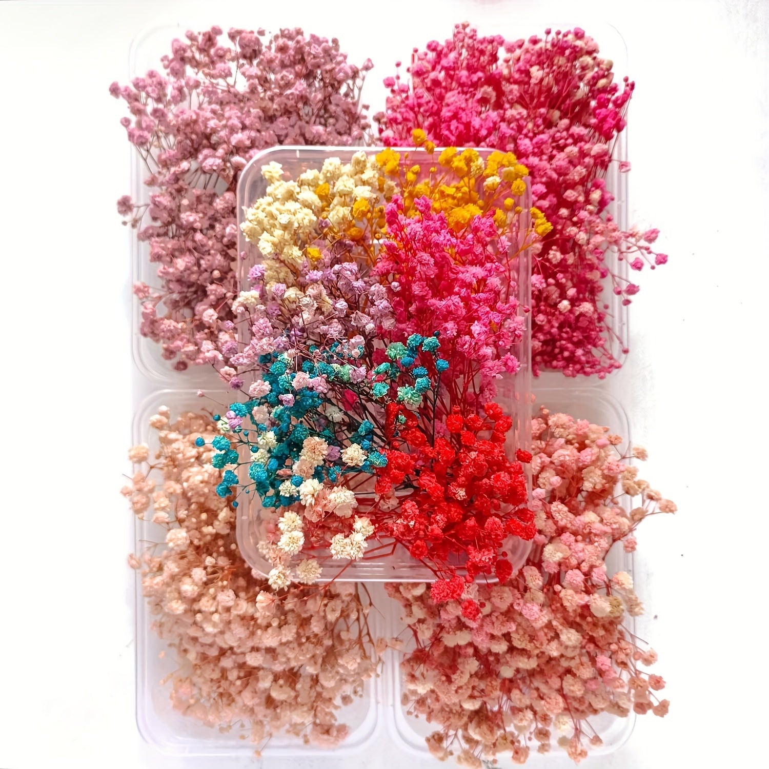 Preserved Flower Kit for DIY Projects with Picture Frame Candles and Embossed Flowers