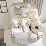 Baby Shower Gift Set for Newborns Includes Blanket Socks Lovey and Essentials Gray 5 Pieces