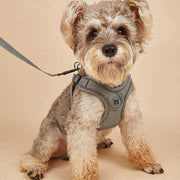 Pet Reflective Non-Slip Chest Harness Set for Dogs