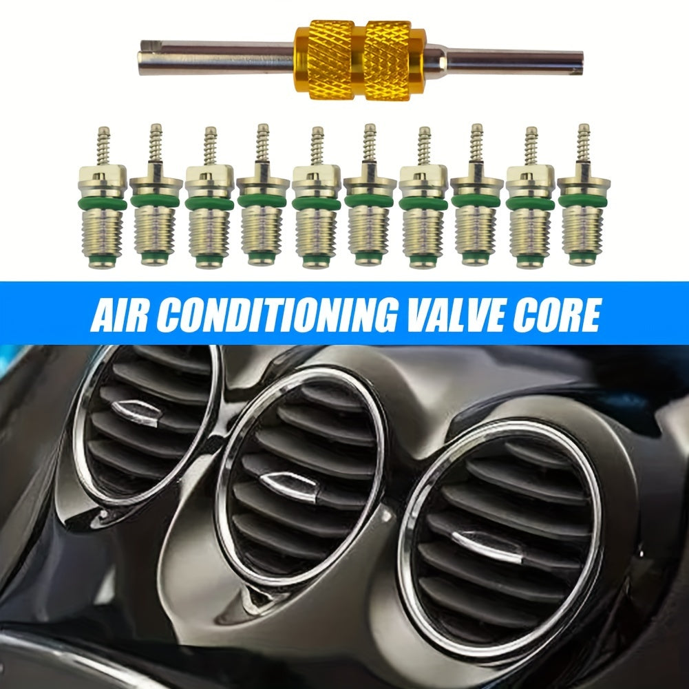 Automotive Air Conditioner Maintenance Kit with 10 Brass Green Valve Cores