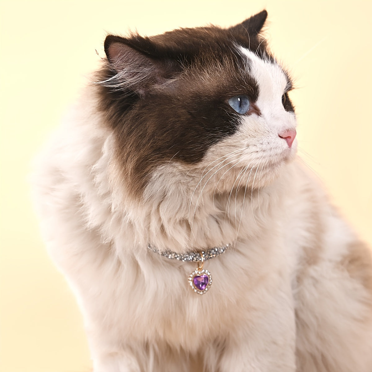 Faux Pearl and Ribbon Bow Cat Collar Pet Necklace Accessory