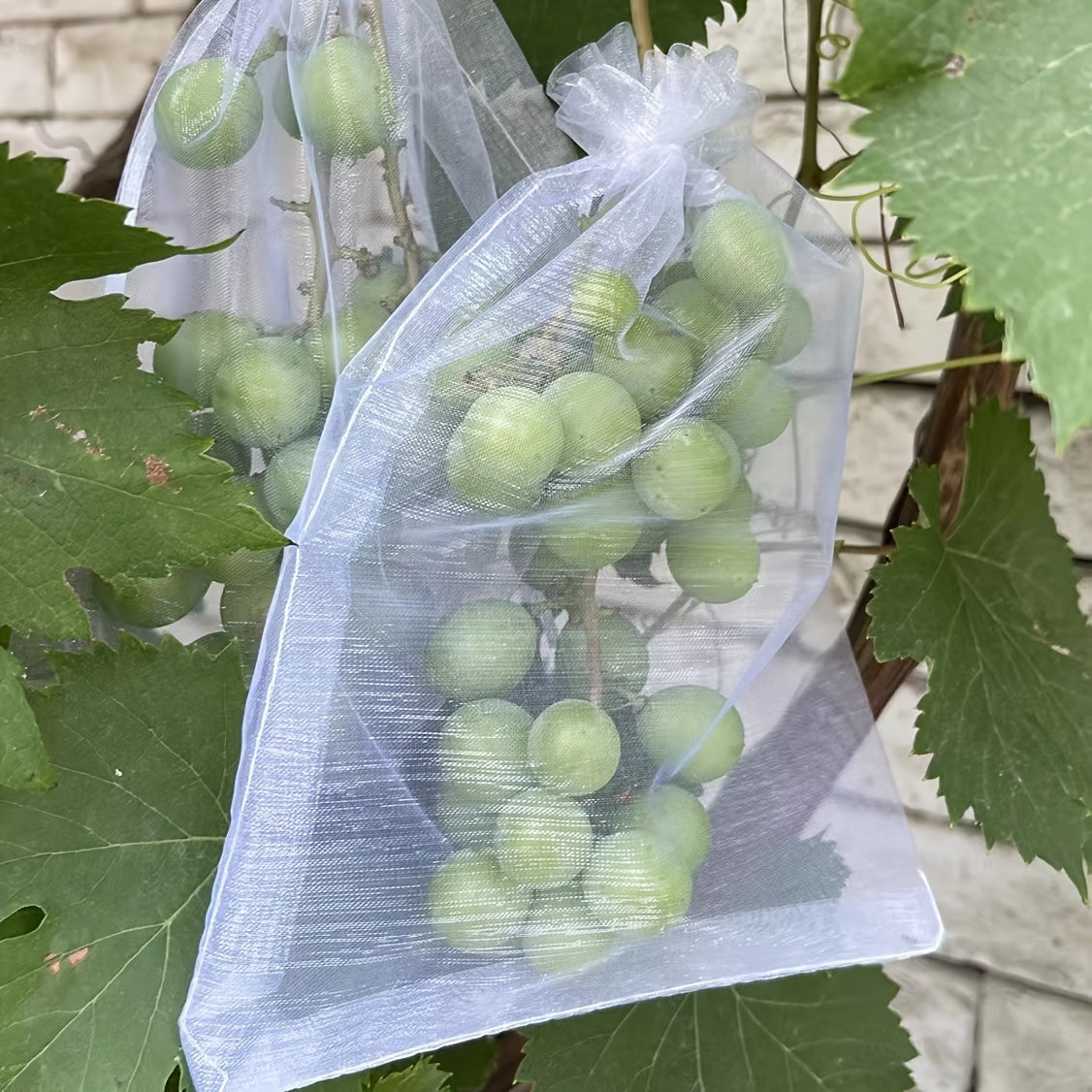 20x30cm Garden Netting Bags for Pest Control Protecting Fruits from Birds and Insects Pack of 50 or 100