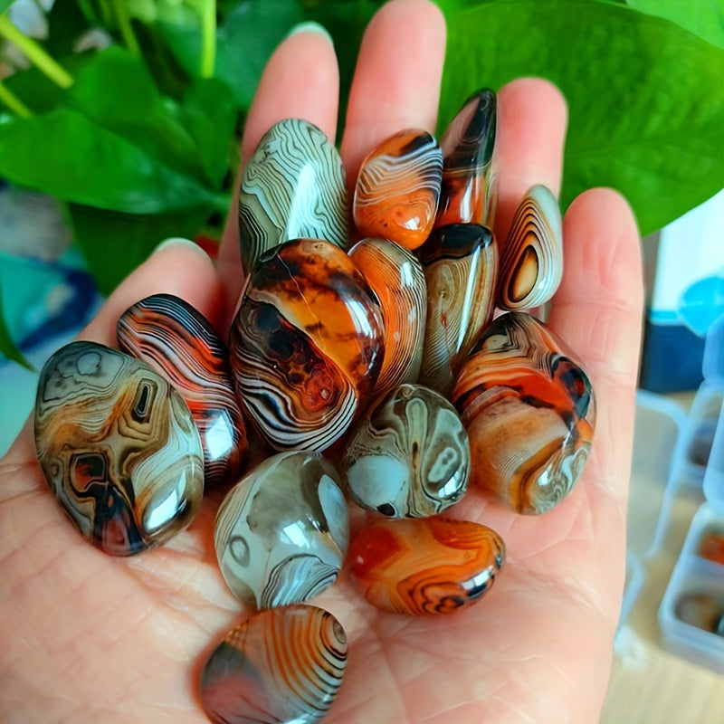 5-Piece Natural Agate Stone Set for Flower Pots Aquariums and Decorations