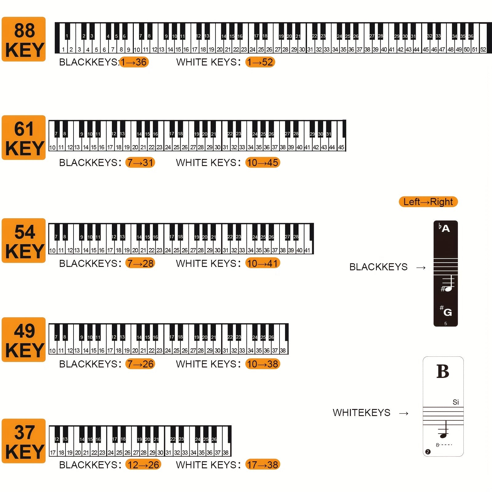 Black PVC Piano Key Stickers for Beginners Removable Durable Fits 88 61 54 49 Keys