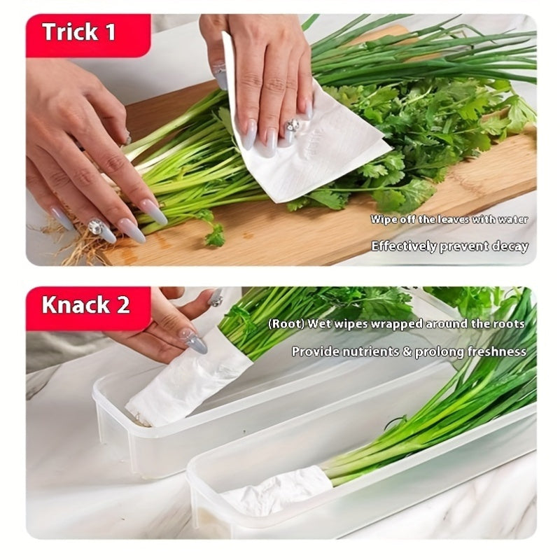 Set of 2 Plastic Food Storage Containers with Seals for Fresh Vegetables