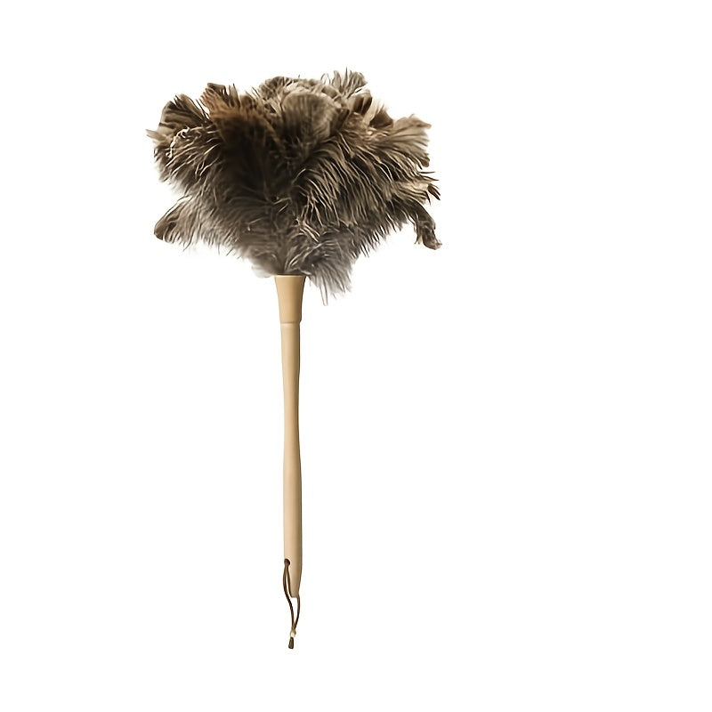 Yuqori sifatli tuya parasi tozalovchi - Yog'och tutqichi bilan - Nozik ob'ektlar va uy yuzalarini yumshoq va pufak paralar bilan ehtiyotkorlik bilan tozalash uchun, uzoq muddatli va zarar yetkazmaydigan tozalash aksessuari.