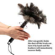 Ikkita 15 dyuymli tortiladigan chang tozalash tayoqlari - yuqori sifatli materiallar va tez samaradorlik bilan shift fanlarini, jaluzilarni va elektron qurilmalarni oson tozalang.