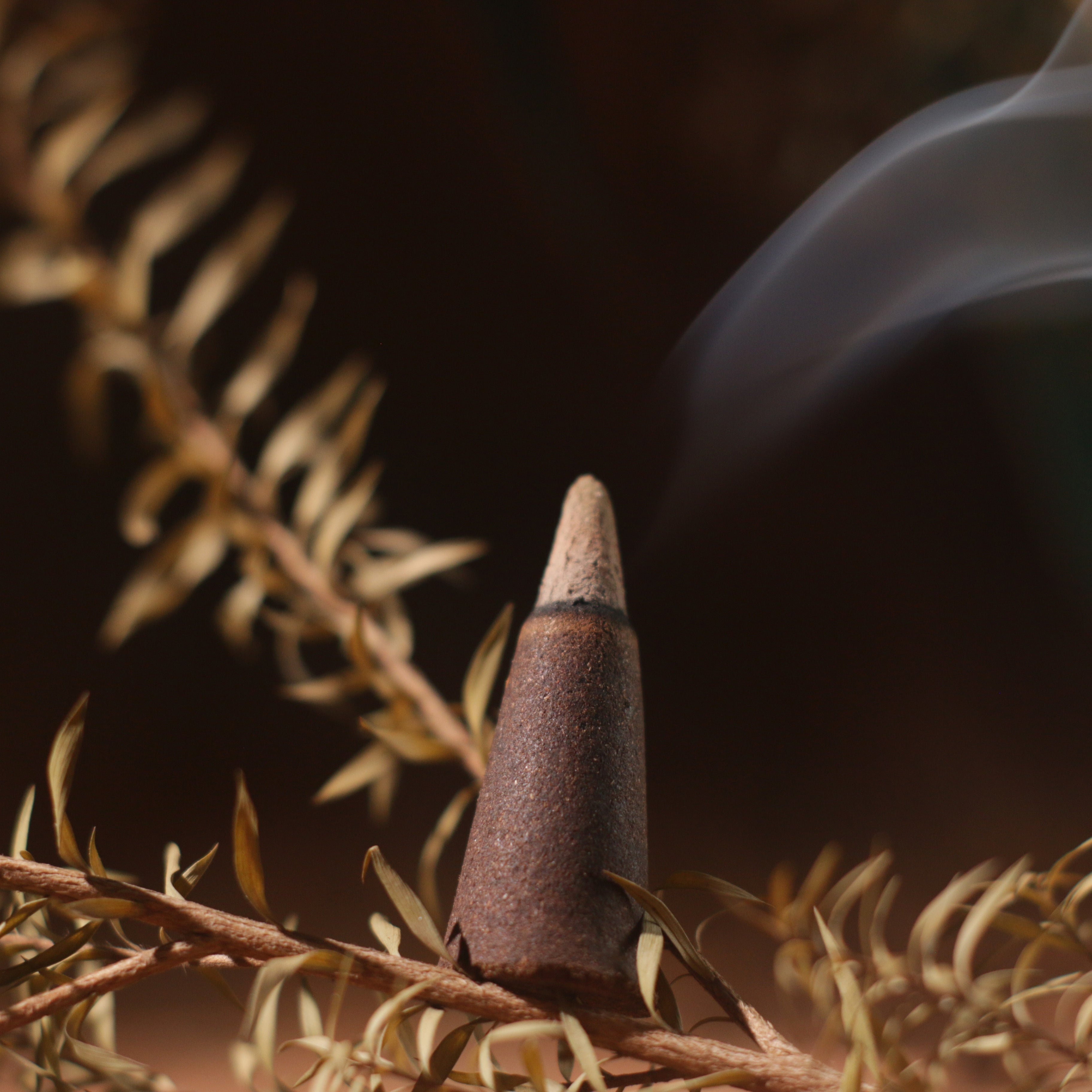 5/10pcs Apple Cinnamon Wooden Incense Cones for Aromatherapy Meditation Yoga Home