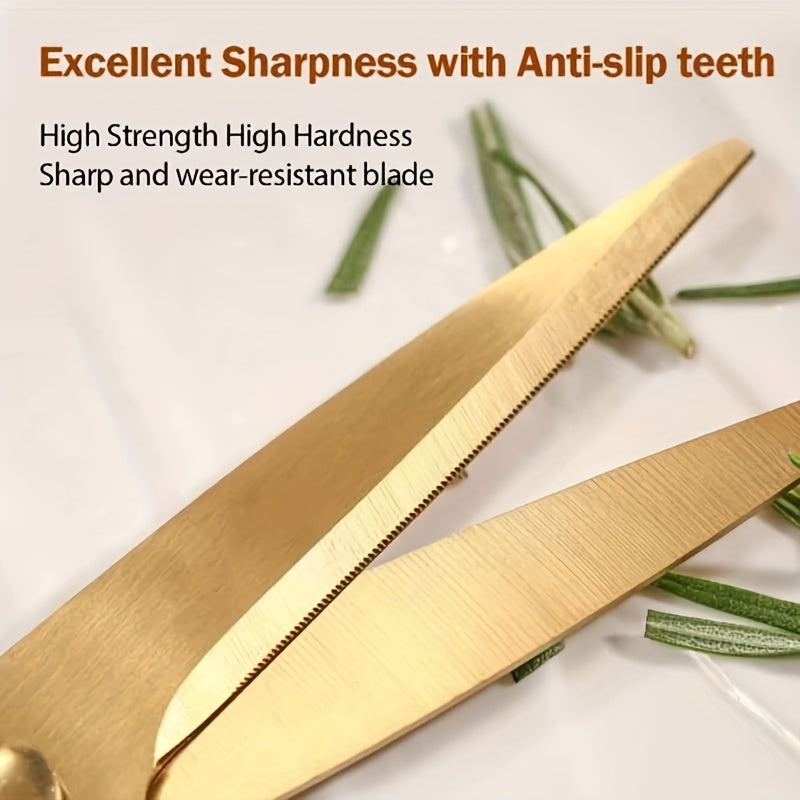 Stainless Steel Scissors with Gold Finish and Clear Handle for Kitchen and Office