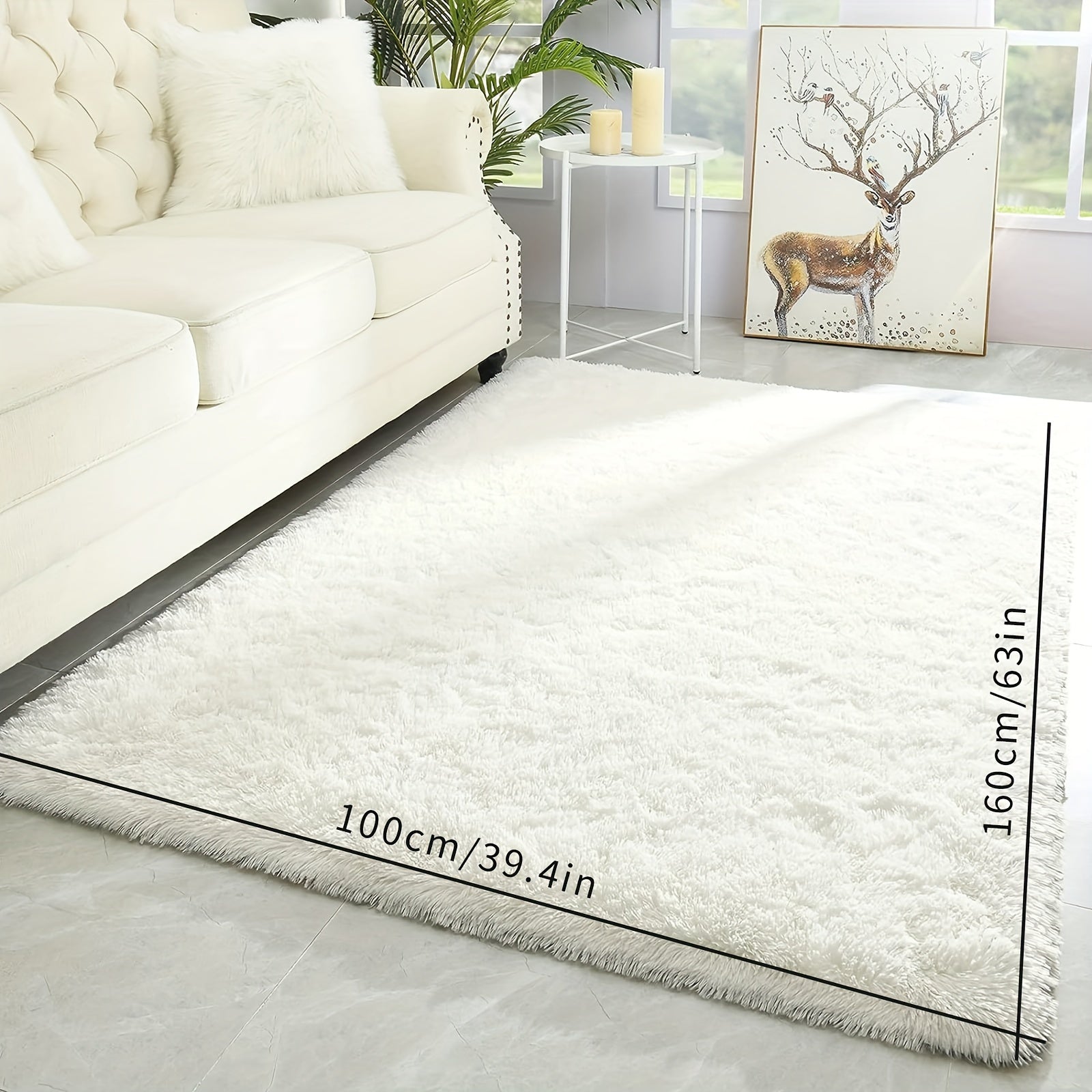 Thick Shag Area Rug Plush Fuzzy Carpet Non-Slip Soft Furry for Living Room Bedroom