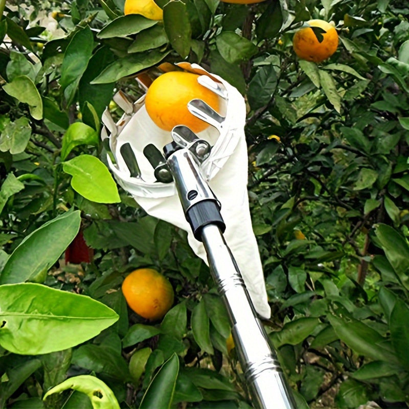 Stainless Steel Fruit Picking Tool for Apples Oranges Pears Safety Features Durable Garden Harvesting Device