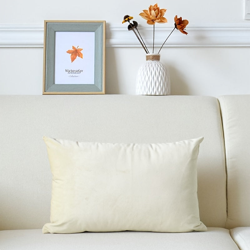 Velvet Pillow Cover Solid Color Cushion Cover for Sofa Bed Living Room 18x18 Inches