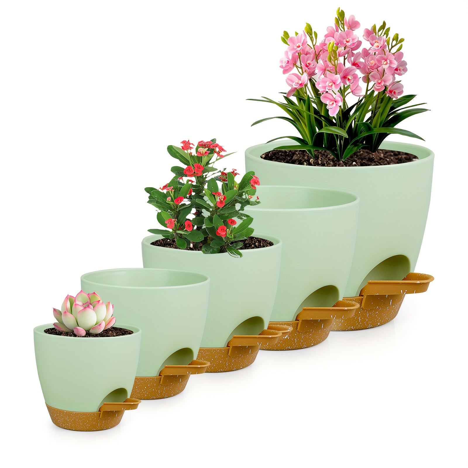 Olisx o'z-o'zini sug'oradigan o'simlik idishlari 5 o'lchamda mavjud bo'lib, ko'plab bog'dagi o'simliklar uchun ideal, sukulentlar va Afrika violetlari uchun minimalist dizaynga ega.