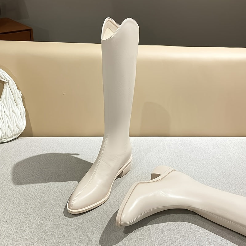 Women's Pointed Toe Over-the-Knee Boots Synthetic Slip-On Black Brown Beige All-Season