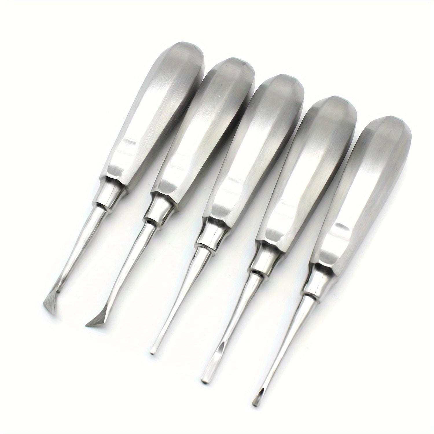 Dental Extraction Tools Set of 10 Stainless Steel Root Tip and Nail Stabilizer Instruments